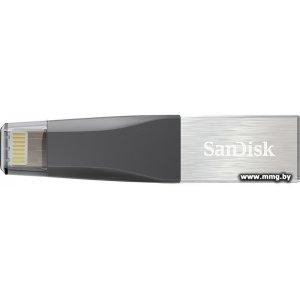 128GB SanDisk iXpand Mini (серебристый)