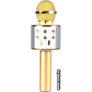 Микрофон Wster WS-858 (золотистый)