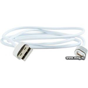 Кабель Cablexpert CC-USB2-AMLMM-1M