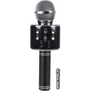 Микрофон Wster WS-858 (черный)