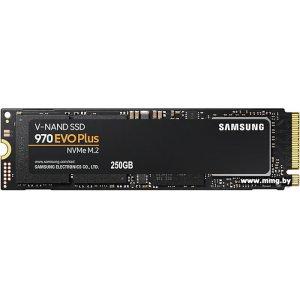 SSD 250Gb Samsung 970 EVO Plus (MZ-V7S250)