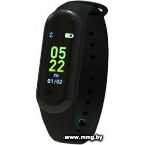 Купить Фитнес-браслет Ritmix RFB-300 в Минске, доставка по Беларуси