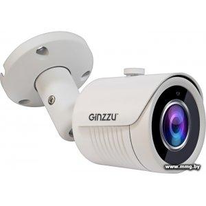 Купить IP-камера Ginzzu HIB-2032S в Минске, доставка по Беларуси