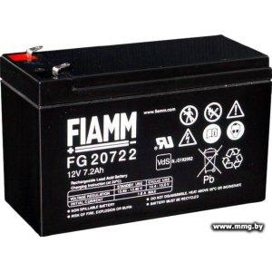 Купить FIAMM FG20722 (12В/7.2 А·ч) в Минске, доставка по Беларуси