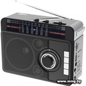 Купить Радиоприемник Ritmix RPR-205 в Минске, доставка по Беларуси