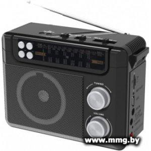 Купить Радиоприемник Ritmix RPR-200 (черный) в Минске, доставка по Беларуси