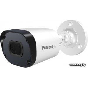 Купить IP-камера Falcon Eye FE-IPC-BV2-50pa в Минске, доставка по Беларуси