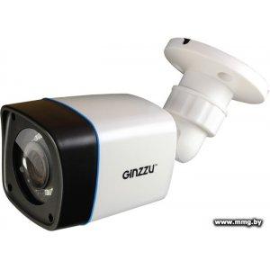 Купить CCTV-камера Ginzzu HAB-2032P в Минске, доставка по Беларуси
