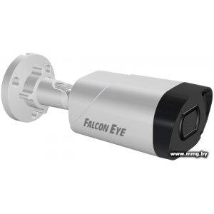 Купить IP-камера Falcon Eye FE-IPC-BV5-50pa в Минске, доставка по Беларуси