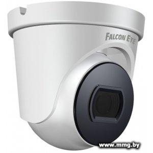 Купить IP-камера Falcon Eye FE-IPC-D2-30p в Минске, доставка по Беларуси