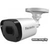 CCTV-камера Falcon Eye FE-MHD-BP2e-20