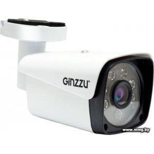 Купить IP-камера Ginzzu HIB-2301A в Минске, доставка по Беларуси