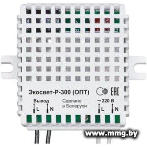 Купить Датчик Ноотехника Экосвет-Р-300 в Минске, доставка по Беларуси