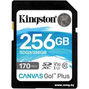 Kingston 256GB Canvas Go! Plus SDXC (SDG3/256GB)