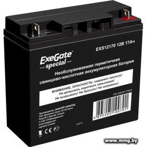 Купить ExeGate Special EXS12170 (12В/17 А·ч) [ES255177RUS] в Минске, доставка по Беларуси