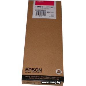 Купить Картридж Epson C13T606B00 в Минске, доставка по Беларуси