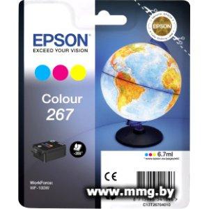 Картридж Epson C13T26704010