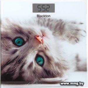 Blackton Bt BS1012 (котенок)
