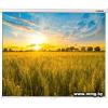 Lumien Eco Picture 220x220 LEP-100110