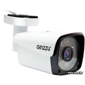 Купить IP-камера Ginzzu HIB-5301A в Минске, доставка по Беларуси