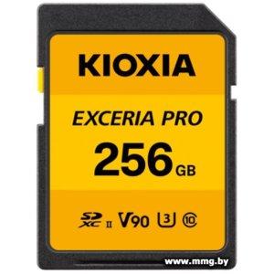 KIOXIA 256GB SDXC LNPR1Y256G