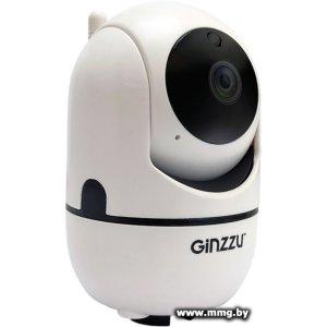 Купить IP-камера Ginzzu HWD-2302A в Минске, доставка по Беларуси