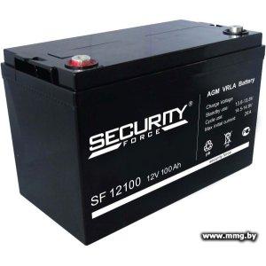 Security Force SF 12100 (12В/100 А·ч)