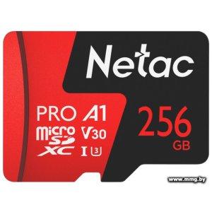 Netac 256Gb MicroSDXC P500 Extreme Pro NT02P500PRO-256G-R