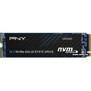 SSD 500GB PNY M280CS1030-500-RB