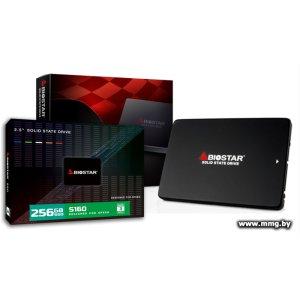 SSD 256GB Biostar S160-256G