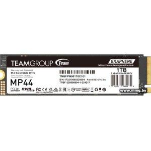 SSD 1TB Team MP44 (TM8FPW001T0C101)