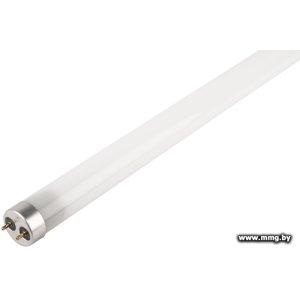 JAZZway PLED T8-1500GL 24w FR G13 6500K 1032553