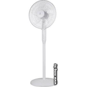 Electrolux EFF-1006W