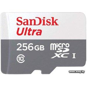 Sandisk 256GB microSDXC SDSQUNR-256G-GN6MN