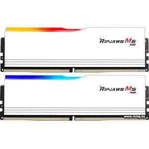 Купить 64Gb (2x32Gb) PC5-44800 G.Skill F5-5600J3036D32GX2-RM5RW в Минске, доставка по Беларуси