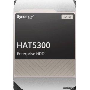 Купить 18000Gb Synology HAT5300 HAT5310-18T в Минске, доставка по Беларуси