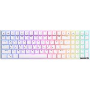 Купить Royal Kludge RK100 RGB (белый, RK Brown) в Минске, доставка по Беларуси