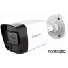 CCTV-камера Falcon Eye FE-HB2-30A