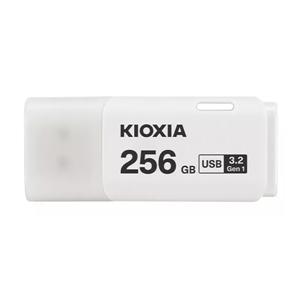 Купить 256GB Kioxia (LU301W256GG4) в Минске, доставка по Беларуси