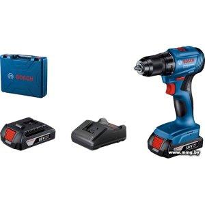 Bosch GSR 185-LI Professional 06019K3000 (2 АКБ, кейс)