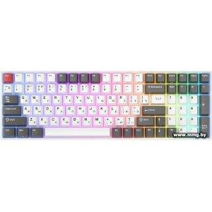 Royal Kludge RK100 RGB (белый/серый, RK Red)