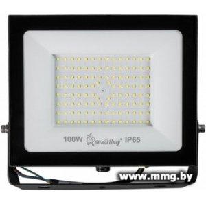 Купить Прожектор SmartBuy SBL-EFL-100-65 в Минске, доставка по Беларуси