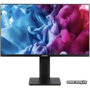 Купить IRBIS MirView 24FIDS120_MIR в Минске, доставка по Беларуси