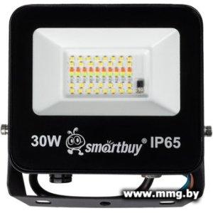 Прожектор Smartbuy SBL-EFLRGB-30