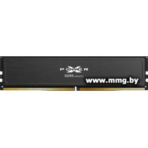 16Gb PC5-48000 Silicon-Power SP016GXLWU60AFSJ