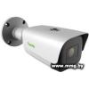 IP-камера Tiandy TC-C38TS I8/A/E/Y/M/H/2.7-13.5MM/V4.0