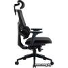 Офисное кресло Evolution LumbarPro (черный)