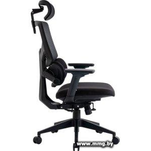 Офисное кресло Evolution LumbarPro (черный)