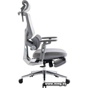 Evolution LumbarPro Elite Grey (серый)