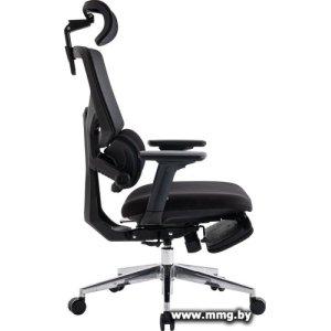 Evolution LumbarPro FR AL (черный))